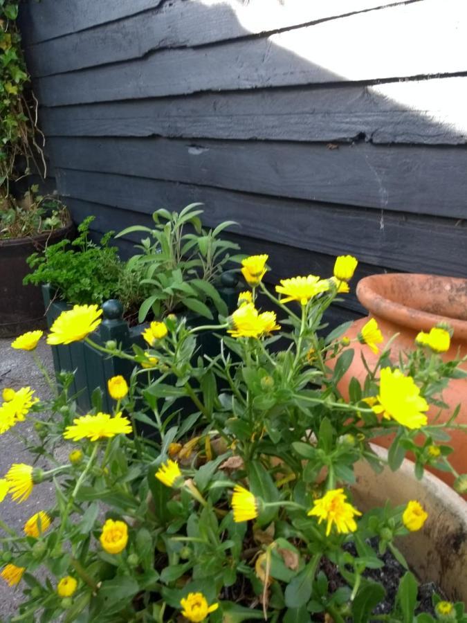Cosy, Dog Friendly House On The Fringe Of The Brecon Beacons Villa Tredegar Eksteriør bilde